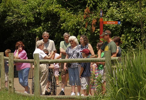 City of Nashville allocates $10 millon to Nashville Zoo for New Developments. (Christian Sperka)