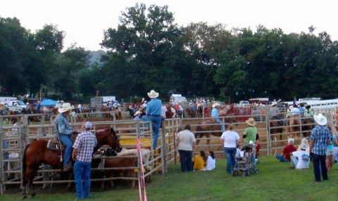 Horse enthusiasts enjoy an evening of rodeo fun during Wranglers Primitive Rodeo in July. (Staff photo)