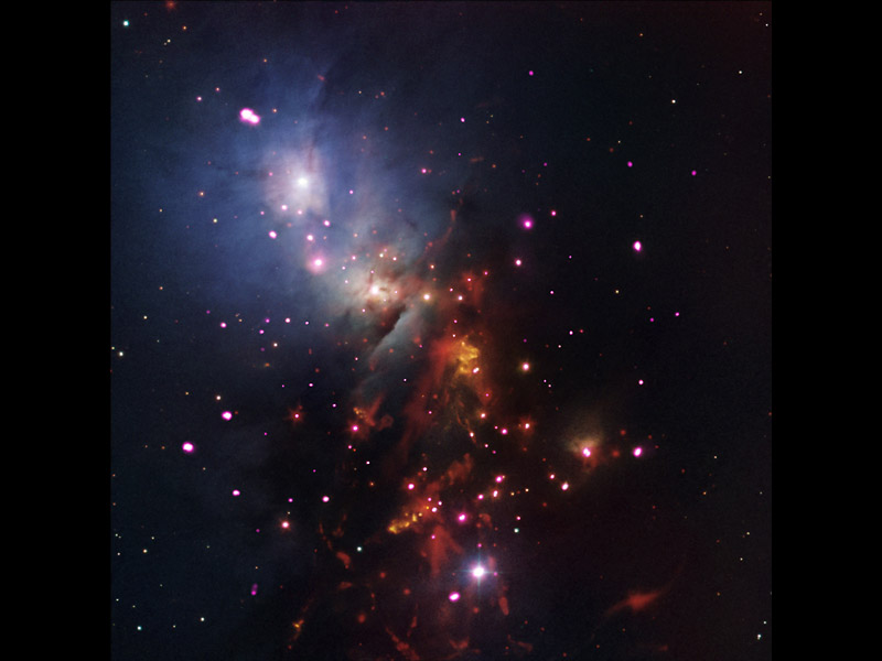 This new composite image of stellar cluster NGC 1333 combines X-rays from NASA's Chandra X-ray Observatory (pink); infrared data from NASA's Spitzer Space Telescope (red); and optical data from the Digitized Sky Survey and the National Optical Astronomical Observatories' Mayall 4-meter telescope on Kitt Peak near Tucson, Arizona. (NASA/CXC/JPL-Caltech/NOAO/DSS)