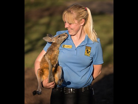 Nashville Zoo's Kayce and Roo. (Amiee Stubbs)