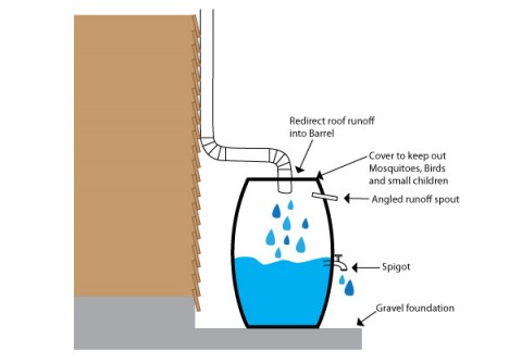 Clarksville and Montgomery County Rain Barrel Workshop