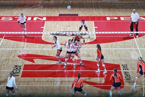 Austin Peay Women's Volleyball. (APSU Sports Information)