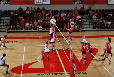 Austin Peay Women's Volleyball. (APSU Sports Information)