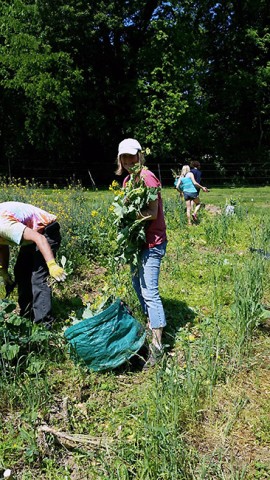 The Society of St. Andrew gleaners this summer. The Society of St. Andrew gleaners this summer.