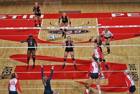 Austin Peay Women's Volleyball. (APSU Sports Information)