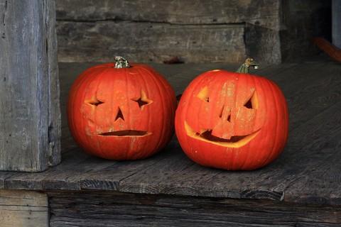 Jack-o-lanterns at LBL's The Homeplace. (Kasey Johnson)