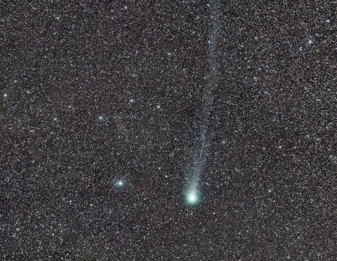 Picture of the comet C/2014 Q2 (Lovejoy) on 22 February 2015. (Fabrice Noel)