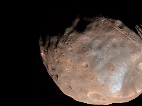 New modeling indicates that the grooves on Mars’ moon Phobos could be produced by tidal forces – the mutual gravitational pull of the planet and the moon. Initially, scientists had thought the grooves were created by the massive impact that made Stickney crater (lower right). (NASA/JPL-Caltech/University of Arizona)