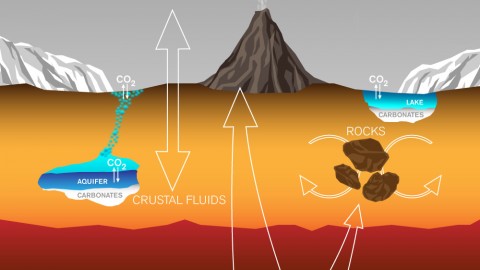 This graphic depicts paths by which carbon has been exchanged among Martian interior, surface rocks, polar caps, waters and atmosphere, and also depicts a mechanism by which it is lost from the atmosphere with a strong effect on isotope ratio. (Lance Hayashida/Caltech) This graphic depicts paths by which carbon has been exchanged among Martian interior, surface rocks, polar caps, waters and atmosphere, and also depicts a mechanism by which it is lost from the atmosphere with a strong effect on isotope ratio. (Lance Hayashida/Caltech)