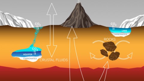 This graphic depicts paths by which carbon has been exchanged among Martian interior, surface rocks, polar caps, waters and atmosphere, and also depicts a mechanism by which it is lost from the atmosphere with a strong effect on isotope ratio. (Lance Hayashida/Caltech)