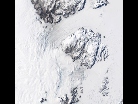 Landsat-8 image of Greenland's Zachariae Isstrom and Nioghalvfjerdsfjorden glaciers, acquired on Aug. 30, 2014. (NASA/USGS)