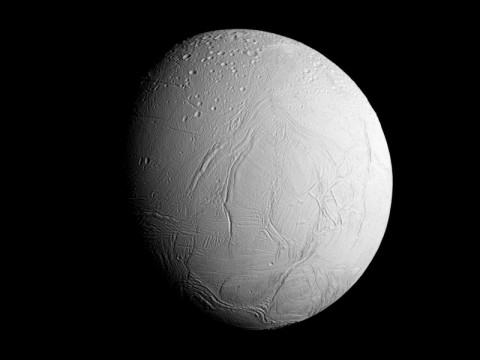 NASA's Cassini spacecraft captured this view as it neared icy Enceladus for its closest-ever dive past the moon's active south polar region. (NASA/JPL-Caltech/Space Science Institute) NASA's Cassini spacecraft captured this view as it neared icy Enceladus for its closest-ever dive past the moon's active south polar region. (NASA/JPL-Caltech/Space Science Institute)