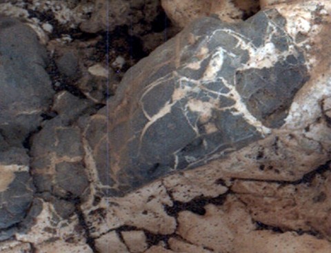 Light material emplaced within darker vein material is seen in this view of a mineral vein at the "Garden City" site on lower Mount Sharp, Mars. (NASA/JPL-Caltech/MSSS)