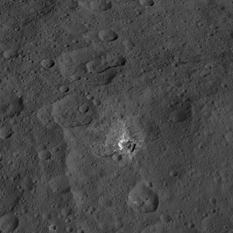 This view from NASA's Dawn spacecraft features a crater named Oxo, which is about 6 miles (9 kilometers) in diameter. (NASA/JPL-Caltech/UCLA/MPS/DLR/IDA)