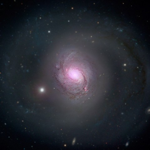 Galaxy NGC 1068 is shown in visible light and X-rays in this composite image. (NASA/JPL-Caltech/Roma Tre Univ.)