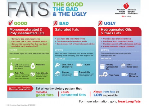 Fats - The Good the Bad and the Ugly Infographic