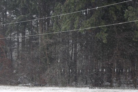 Some trees and power lines may be knocked down from the weight of snow and ice and scattered power outages are possible.