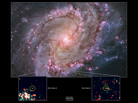 Hubble view of M83 -- the only galaxy known to host two potential "Eta twins." Its high rate of star formation increases the chances of finding massive stars that have recently undergone an Eta Carinae-like outburst. Bottom: Hubble data showing the locations of M83's Eta twins. (NASA, ESA, the Hubble Heritage Team (STScI/AURA) and R. Khan (GSFC and ORAU))