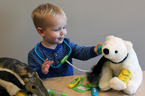 Teddy Bear Clinic to be held at the Nashville Zoo February 14th