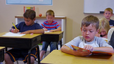Education curriculum needs to go back to the basics. Education curriculum needs to go back to the basics.