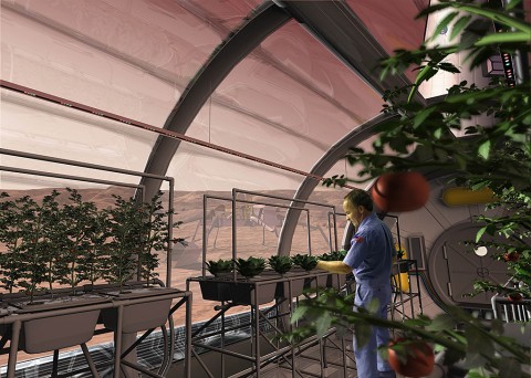 An artist concept depicts a greenhouse on the surface of Mars. Plants are growing with the help of red, blue and green LED light bars and a hydroponic cultivation approach. (SAIC)