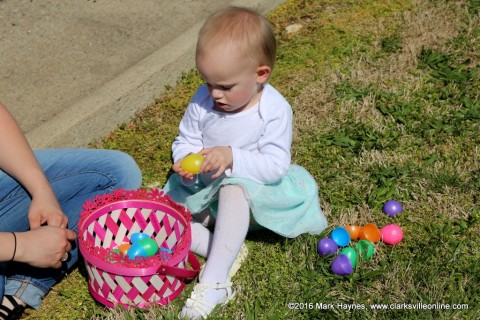 Opening the eggs.