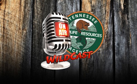 Tennessee WildCast