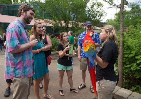 Brew at the Zoo to be held June 4th. (Amiee Stubbs)