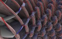 The first leg of the stool – computational capabilities that, in this case, show sound produced by air around jet engine rotors that would turn in opposite directions. (NASA / Tim Sandstrom)