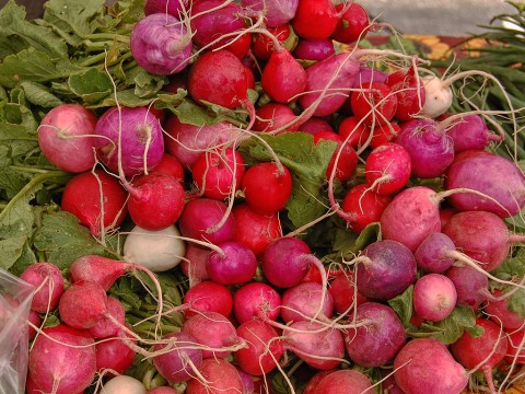 Radishes