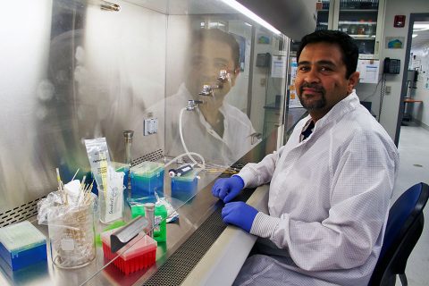 Parag Vaishampayan, a scientist at JPL, contributed genetic analysis techniques to a new medical study. The research found significant differences between bacteria populations in healthy subjects and women with a history of breast cancer. (NASA/JPL-Caltech)