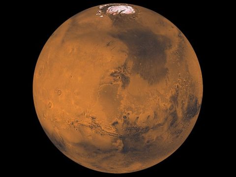 NASA's Mars Exploration Program includes two active rovers and three active orbiters. Concept studies have begun for a potential future Mars orbiter mission. (NASA/JPL/USGS)