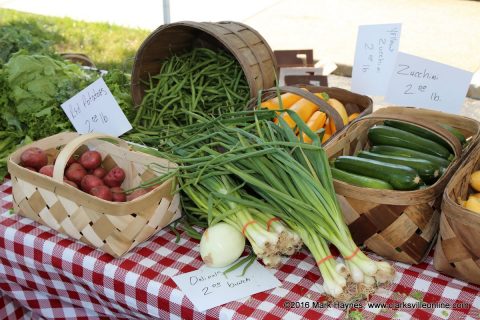 Clarksville Downtown Market will open May 16th with Reduced Vendors in North Extension of McGregor Park. Clarksville Downtown Market will open May 16th with Reduced Vendors in North Extension of McGregor Park.