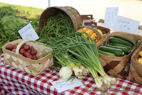 Clarksville Downtown Market will open May 16th with Reduced Vendors in North Extension of McGregor Park.