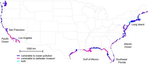 U.S. coastal areas where freshwater and seawater mix unseen below ground, making them vulnerable to ocean and/or drinking water contamination. Dark blue areas are vulnerable to land-to-sea pollution; pink to sea-to-land pollution; light blue to both. Areas may appear larger for visibility purposes. (The Ohio State University/NASA-JPL/Caltech)