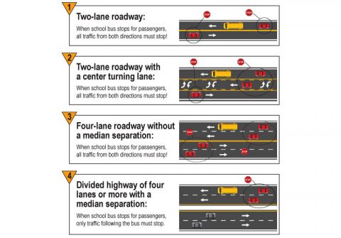 School Bus Stop Rules