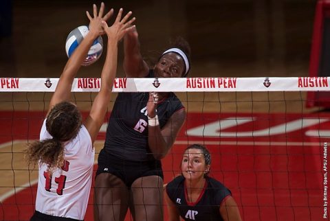 Austin Peay Volleyball drops four set game to Mexico State Friday morning. (APSU Sports Information) Austin Peay Volleyball drops four set game to Mexico State Friday morning. (APSU Sports Information)