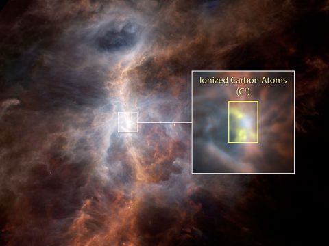 The dusty side of the Sword of Orion is illuminated in this striking infrared image from ESA's Hershel Space Observatory. Within the inset image, the emission from ionized carbon atoms (C+) is overlaid in yellow. (ESA/NASA/JPL-Caltech)