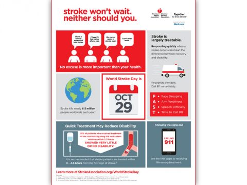 World Stroke Day 2016 Infographic. (American Stroke Association)