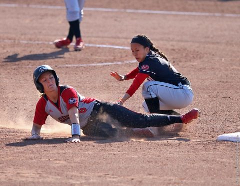 Austin Peay Softball to host 16 games and plays in four tournaments in 2017. (APSU Sports Information)