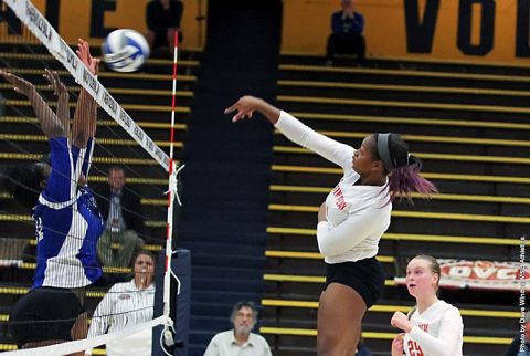 Austin Peay Volleyball's Logan Carger has 15 kills in win over Tennessee State in opening OVC Tournament Match. (APSU Sports Information)