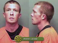 Brandin Lawless