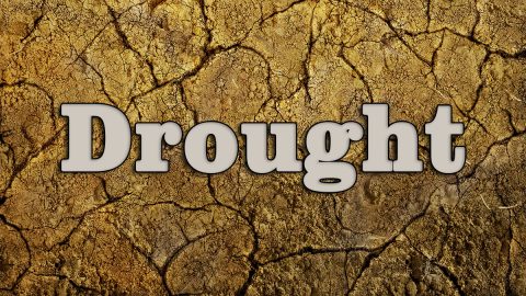 Drought