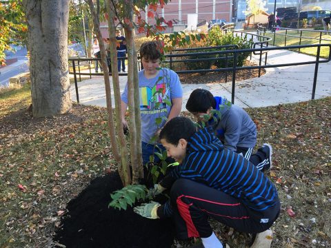 First Baptist Church St. Bethlehem Youth Group cleaning up the Spur Line Trailhead Park.