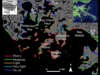 Map of Northeastern Barataria Bay, Louisiana, showing shores oiled by the Deepwater Horizon oil spill during May to July 2010. The severity of oiling is indicated by the colors. The information is derived from a 2014 NOAA Shoreline Cleanup Assessment Techniques (SCAT) map. (USGS/NOAA/NASA-JPL/Caltech)