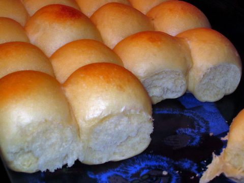 Yeast Rolls