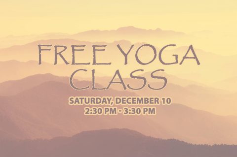 Free Yoga Class at Clarksville-Montgomery County Public Library this Saturday, December 10th