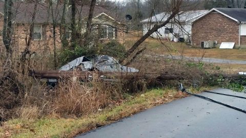 Silver Ford F150 truck crashed into a utility pole on Woodale Drive this morning.