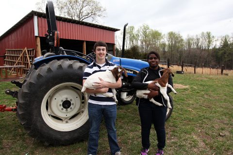 MCHS Academy of Plant and Animal Systems will prepare students for post-secondary opportunities in the 21st century world of agriculture