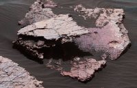 A grid of small polygons on the Martian rock surface near the right edge of this view may have originated as cracks in drying mud more than 3 billion years ago. Multiple Dec. 20, 2016, images from the Mastcam on NASA’s Curiosity Mars rover were combined for this view of a rock called “Squid Cove.” (NASA/JPL-Caltech/MSSS)